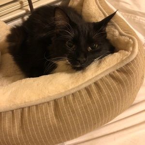 Meet your Posher, Sabrina